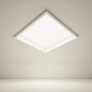 Ceiling Panel
